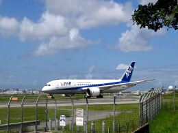 notregretさんが、福岡空港で撮影した全日空 787-8 Dreamlinerの航空フォト（飛行機 写真・画像）