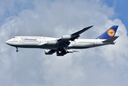 islandsさんが、羽田空港で撮影したルフトハンザドイツ航空 747-830の航空フォト（飛行機 写真・画像）