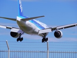 Airsky(FUK)さんが、福岡空港で撮影した全日空 777-281/ERの航空フォト（飛行機 写真・画像）