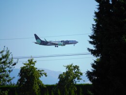 Airsky(FUK)さんが、アボッツフォード国際空港で撮影したフレア航空 737-8-MAXの航空フォト（飛行機 写真・画像）