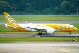 SFJ_capさんが、シンガポール・チャンギ国際空港で撮影したスクート 787-8 Dreamlinerの航空フォト（飛行機 写真・画像）