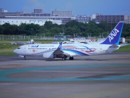 Airsky(FUK)さんが、福岡空港で撮影した全日空 737-881の航空フォト（飛行機 写真・画像）