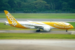 SFJ_capさんが、シンガポール・チャンギ国際空港で撮影したスクート 787-8 Dreamlinerの航空フォト（飛行機 写真・画像）