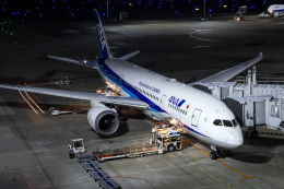 koei5000さんが、羽田空港で撮影した全日空 787-8 Dreamlinerの航空フォト（飛行機 写真・画像）