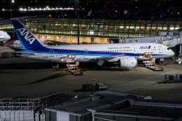koei5000さんが、羽田空港で撮影した全日空 787-8 Dreamlinerの航空フォト（飛行機 写真・画像）