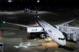 koei5000さんが、羽田空港で撮影した全日空 787-10の航空フォト（飛行機 写真・画像）