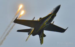 H-60s Spotterさんが、ランカウイ国際空港で撮影したマレーシア空軍 F/A-18D Hornetの航空フォト（飛行機 写真・画像）