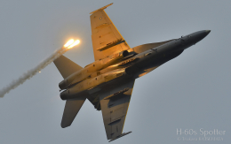 H-60s Spotterさんが、ランカウイ国際空港で撮影したマレーシア空軍 F/A-18D Hornetの航空フォト（飛行機 写真・画像）