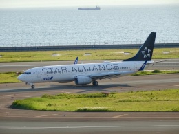 ⚡️Wingzさんが、中部国際空港で撮影した全日空 737-881の航空フォト（飛行機 写真・画像）