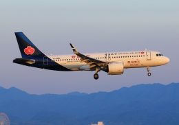Lotusさんが、関西国際空港で撮影した青島航空 A320-271Nの航空フォト（飛行機 写真・画像）