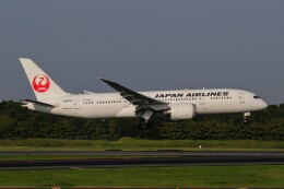 hana777さんが、成田国際空港で撮影した日本航空 787-8 Dreamlinerの航空フォト（飛行機 写真・画像）