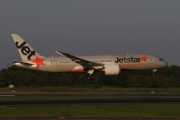 hana777さんが、成田国際空港で撮影したジェットスター 787-8 Dreamlinerの航空フォト（飛行機 写真・画像）