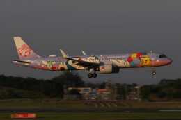 hana777さんが、成田国際空港で撮影したチャイナエアライン A321-271NXの航空フォト（飛行機 写真・画像）