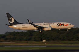 hana777さんが、成田国際空港で撮影した山東航空 737-85N(BCF)の航空フォト（飛行機 写真・画像）