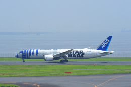 わびさんが、羽田空港で撮影した全日空 787-9の航空フォト（飛行機 写真・画像）