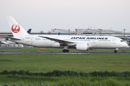 Timothyさんが、成田国際空港で撮影した日本航空 787-8 Dreamlinerの航空フォト（飛行機 写真・画像）