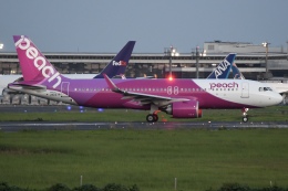 Timothyさんが、成田国際空港で撮影したピーチ A320-251Nの航空フォト（飛行機 写真・画像）