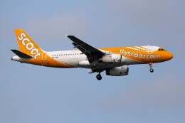 フッ軽の極美さんが、シンガポール・チャンギ国際空港で撮影したスクート A320-232の航空フォト（飛行機 写真・画像）