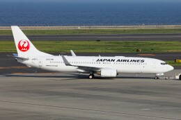 フッ軽の極美さんが、中部国際空港で撮影した日本航空 737-846の航空フォト（飛行機 写真・画像）