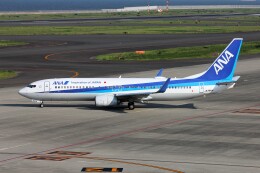 フッ軽の極美さんが、中部国際空港で撮影した全日空 737-881の航空フォト（飛行機 写真・画像）