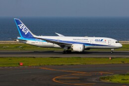 フッ軽の極美さんが、中部国際空港で撮影した全日空 787-8 Dreamlinerの航空フォト（飛行機 写真・画像）