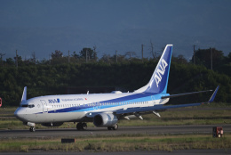 せとりーとさんが、小松空港で撮影した全日空 737-881の航空フォト（飛行機 写真・画像）