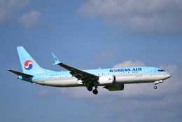 せとりーとさんが、成田国際空港で撮影した大韓航空 737-8-MAXの航空フォト（飛行機 写真・画像）