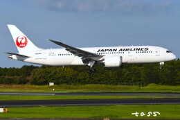 tassさんが、成田国際空港で撮影した日本航空 787-8 Dreamlinerの航空フォト（飛行機 写真・画像）