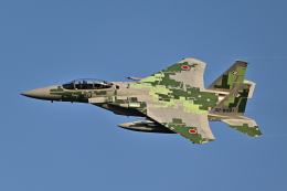 フォト太郎さんが、小松空港で撮影した航空自衛隊 F-15DJ Eagleの航空フォト（飛行機 写真・画像）