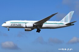 tassさんが、成田国際空港で撮影したジップエア 787-8 Dreamlinerの航空フォト（飛行機 写真・画像）