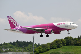 panchiさんが、成田国際空港で撮影したピーチ A320-214の航空フォト（飛行機 写真・画像）