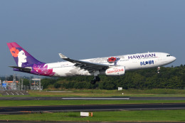 サンドバンクさんが、成田国際空港で撮影したハワイアン航空 A330-243の航空フォト（飛行機 写真・画像）