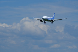 Hiro-cさんが、庄内空港で撮影したANA A321neoの航空フォト（飛行機 写真・画像）