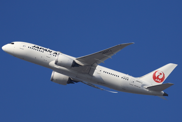 T.Sazenさんが、伊丹空港で撮影した日本航空 787-8 Dreamlinerの航空フォト（飛行機 写真・画像）