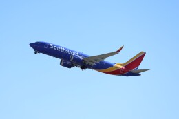 不揃いさんが、ダニエル・K・イノウエ国際空港で撮影したサウスウェスト航空 737-8-MAXの航空フォト（飛行機 写真・画像）