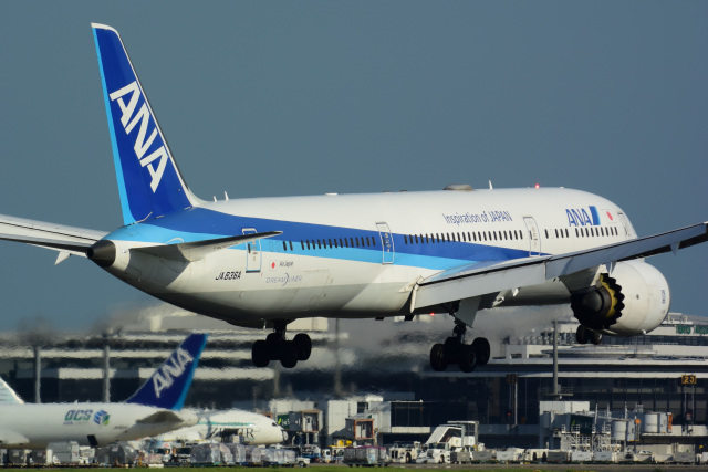 パンダさんが、成田国際空港で撮影した全日空 787-9の航空フォト（飛行機 写真・画像）