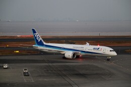 julie302さんが、羽田空港で撮影した全日空 787-9の航空フォト（飛行機 写真・画像）