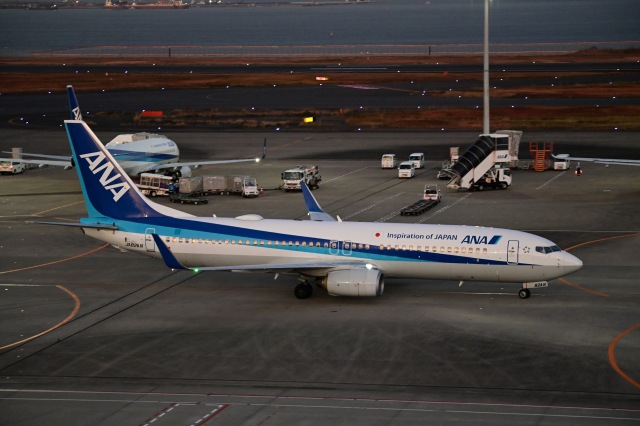 julie302さんが、羽田空港で撮影した全日空 737-881の航空フォト（飛行機 写真・画像）