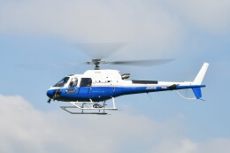 BlueStarさんが、東京ヘリポートで撮影した東邦航空 AS350B3 Ecureuilの航空フォト（飛行機 写真・画像）
