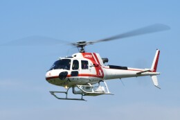 BlueStarさんが、東京ヘリポートで撮影した朝日航洋 AS350B3 Ecureuilの航空フォト（飛行機 写真・画像）