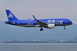 天心さんが、関西国際空港で撮影した春秋航空 A320-214の航空フォト（飛行機 写真・画像）