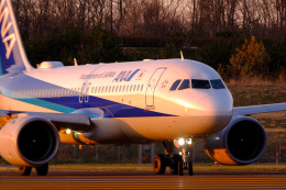 Hiro-cさんが、庄内空港で撮影した全日空 A320-271Nの航空フォト（飛行機 写真・画像）