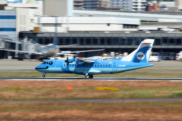 伊丹空港 - Osaka International Airport [ITM/RJOO]で撮影された伊丹空港 - Osaka International Airport [ITM/RJOO]の航空機写真(フォト・画像)