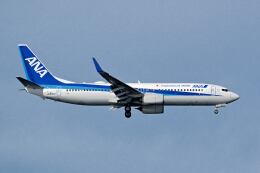 シグナス021さんが、羽田空港で撮影した全日空 737-881の航空フォト（飛行機 写真・画像）