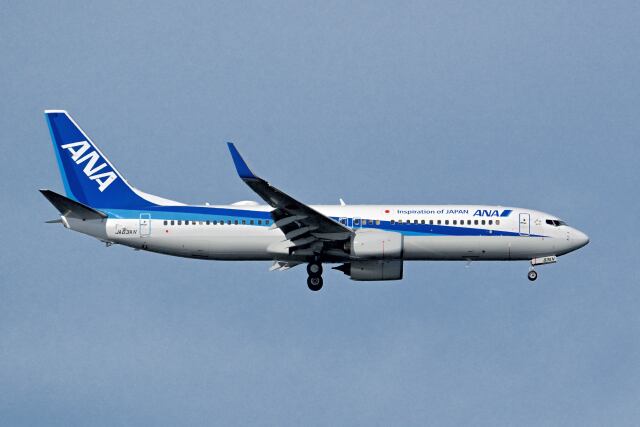 シグナス021さんが、羽田空港で撮影した全日空 737-881の航空フォト（飛行機 写真・画像）