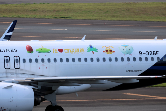 blowgunさんが、中部国際空港で撮影した青島航空 A320-271Nの航空フォト（飛行機 写真・画像）