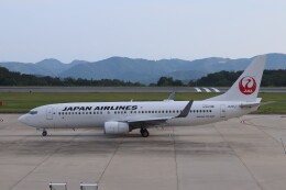 YamatoFlyさんが、広島空港で撮影した日本航空 737-846の航空フォト（飛行機 写真・画像）