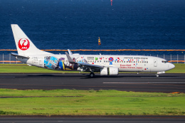 Y.Dさんが、羽田空港で撮影した日本航空 737-846の航空フォト（飛行機 写真・画像）
