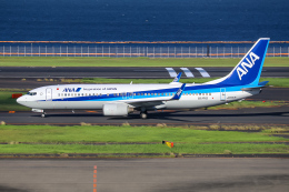 Y.Dさんが、羽田空港で撮影した全日空 737-881の航空フォト（飛行機 写真・画像）