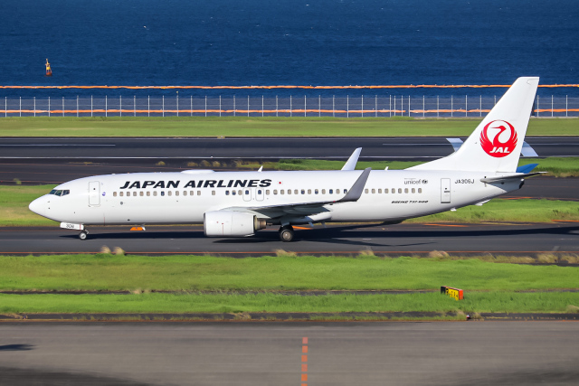 Y.Dさんが、羽田空港で撮影した日本航空 737-846の航空フォト（飛行機 写真・画像）